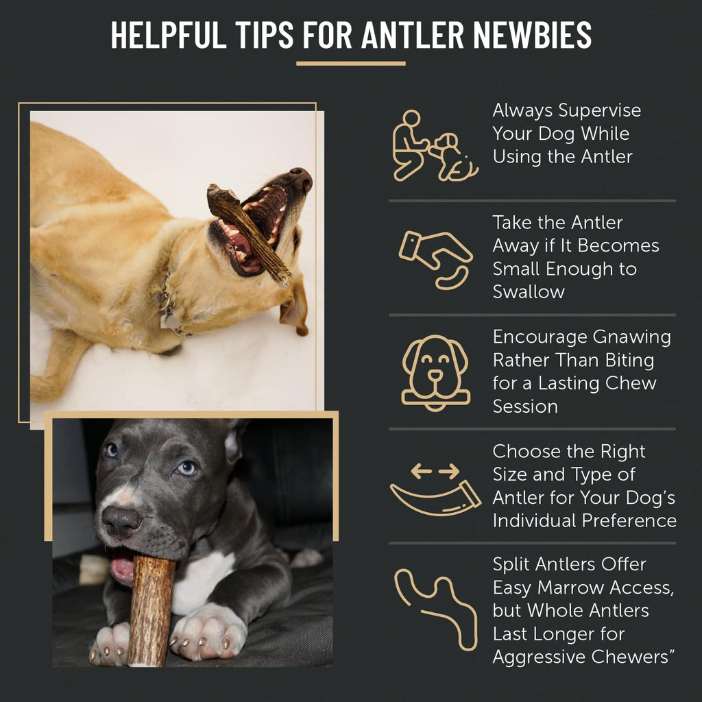 Premium Elk Antler Dog Chews (1 Pound Box) (Large (3 Pieces) Whole/Split Mixed)