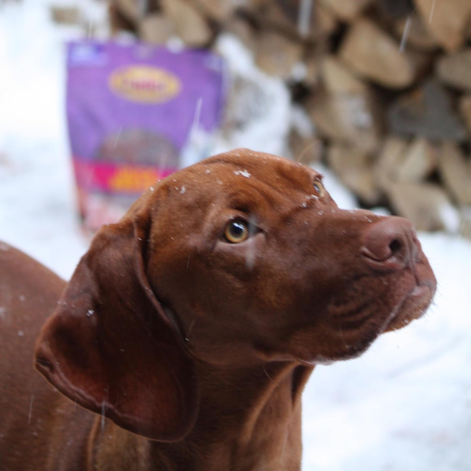 Gourmet Duck Breast Jerky Dog Treats, Healthy, Long-Lasting High-Protein Training Treats for Small & Large Dogs, 40 Oz.