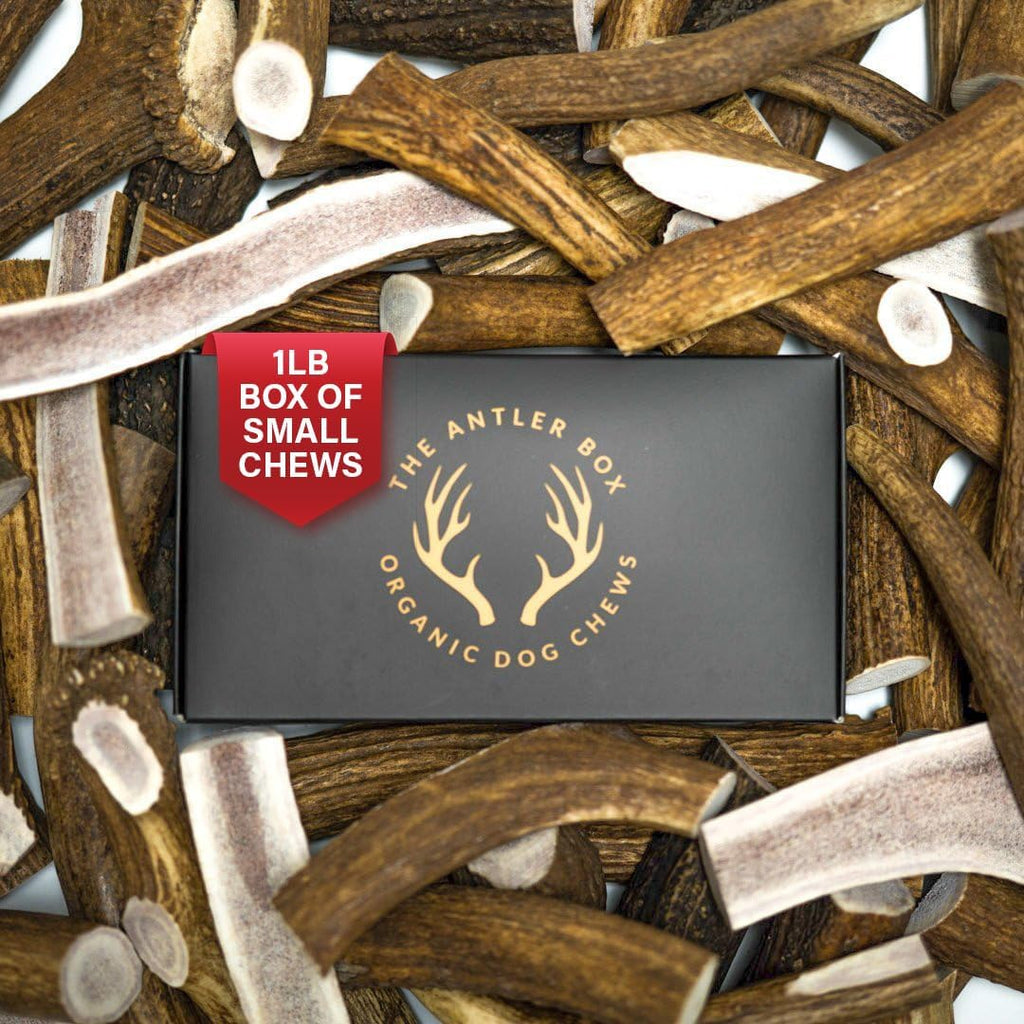 Premium Elk Antler Dog Chews (1 Pound Box) (Large (3 Pieces) Whole/Split Mixed)
