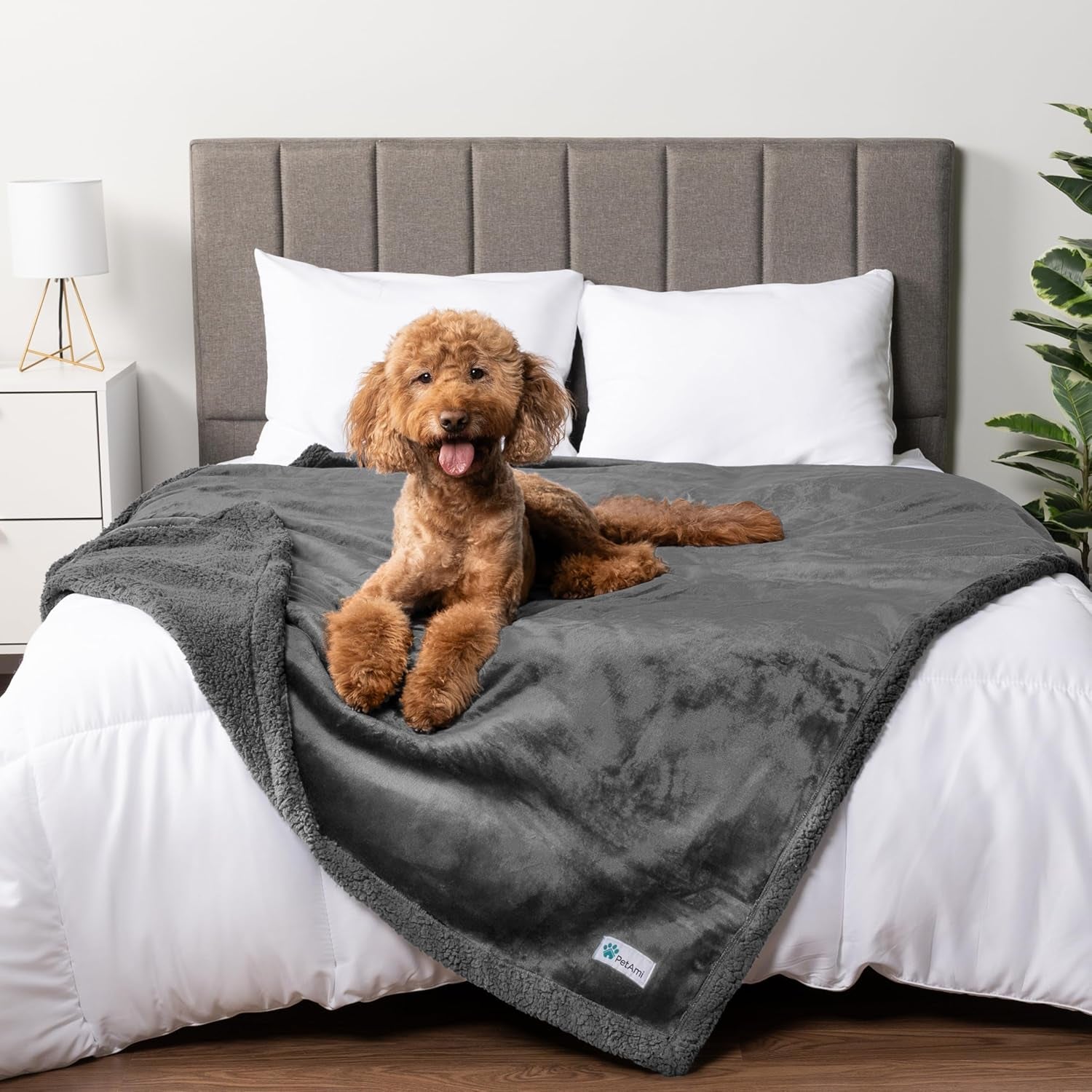 Waterproof Dog Blanket for Small Medium Dog Puppy Cat Throw for Couch Cover Leakproof Protection, Sherpa Fleece, Reversible Soft Washable 29X40 Plaid Navy Blue