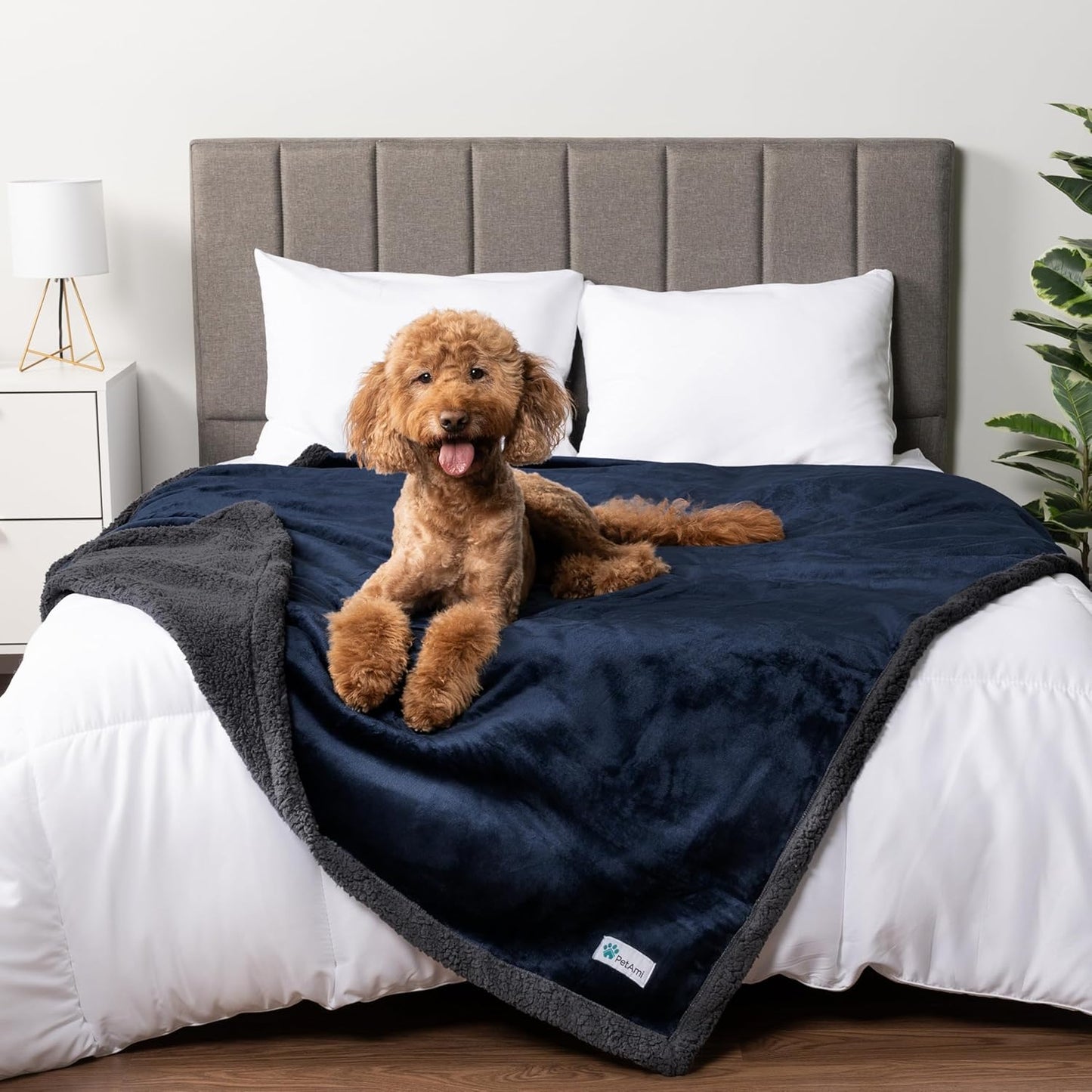 Waterproof Dog Blanket for Small Medium Dog Puppy Cat Throw for Couch Cover Leakproof Protection, Sherpa Fleece, Reversible Soft Washable 29X40 Plaid Navy Blue