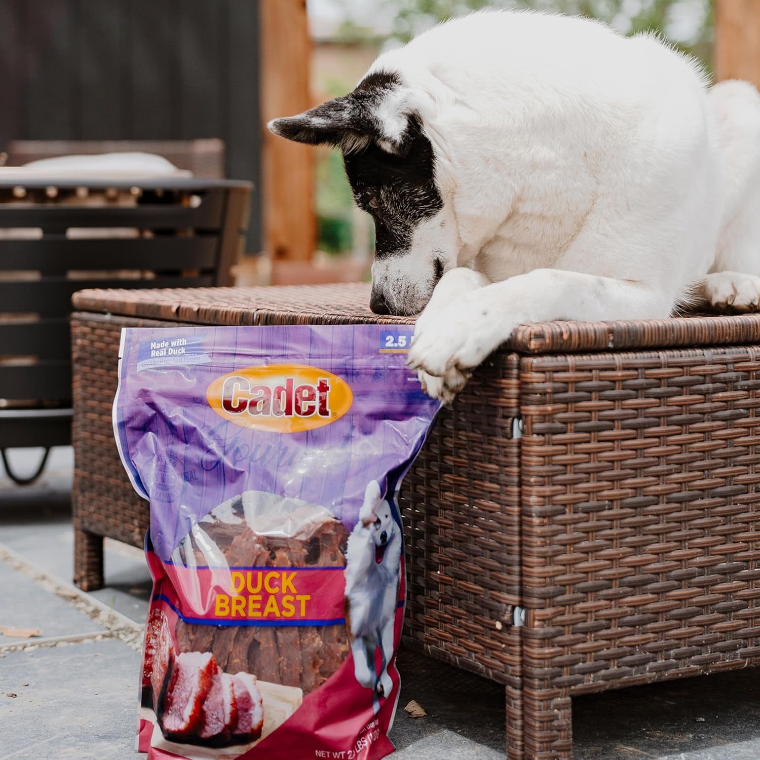 Gourmet Duck Breast Jerky Dog Treats, Healthy, Long-Lasting High-Protein Training Treats for Small & Large Dogs, 40 Oz.