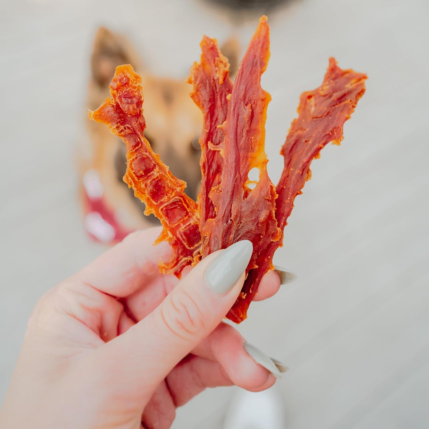 Gourmet Duck Breast Jerky Dog Treats, Healthy, Long-Lasting High-Protein Training Treats for Small & Large Dogs, 40 Oz.