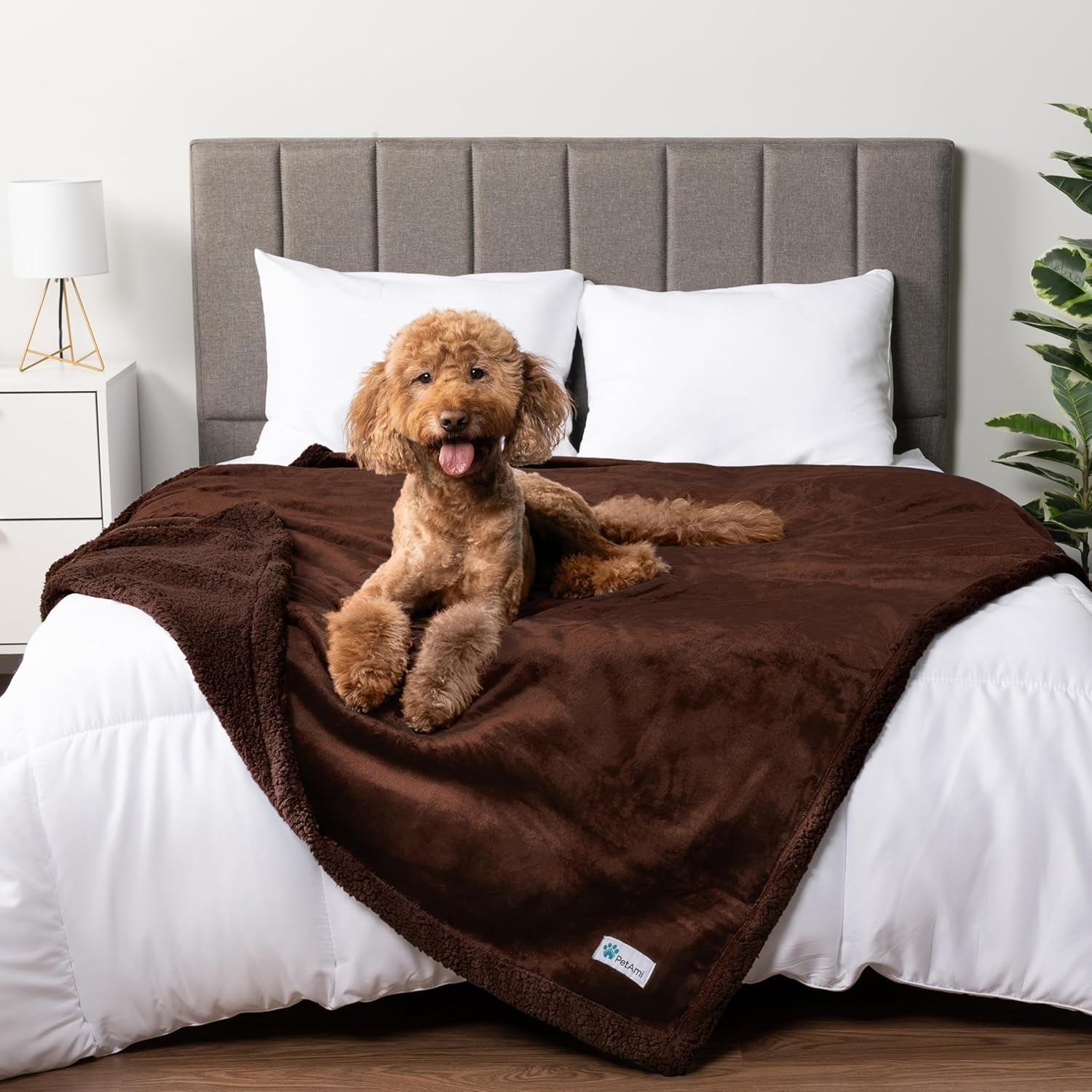 Waterproof Dog Blanket for Small Medium Dog Puppy Cat Throw for Couch Cover Leakproof Protection, Sherpa Fleece, Reversible Soft Washable 29X40 Plaid Navy Blue