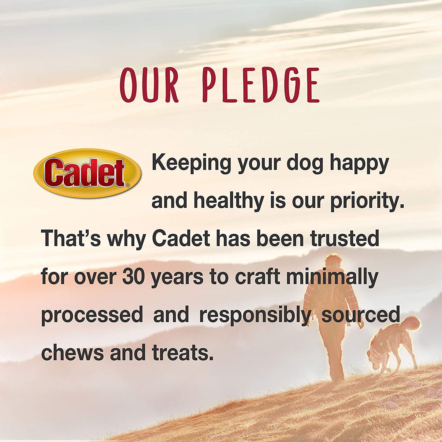 Gourmet Duck Breast Jerky Dog Treats, Healthy, Long-Lasting High-Protein Training Treats for Small & Large Dogs, 40 Oz.