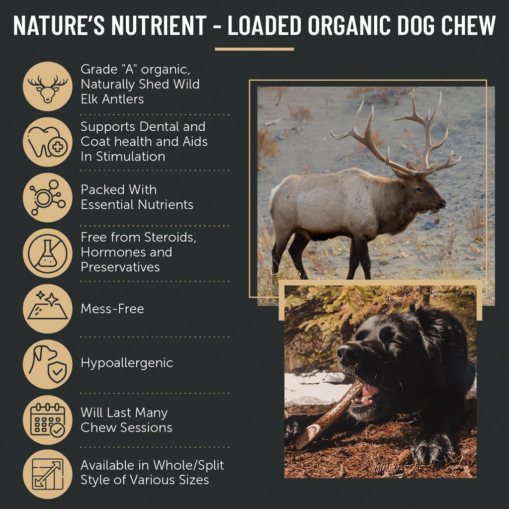 Premium Elk Antler Dog Chews (1 Pound Box) (Large (3 Pieces) Whole/Split Mixed)