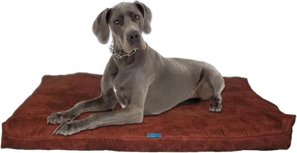 Shredded Memory Foam Orthopedic Bed with Removable Washable Cover and Water Proof Inner Fabric, Extra Large (55-Inch-By-37-Inch), Hot Pink Microfiber, for Dogs