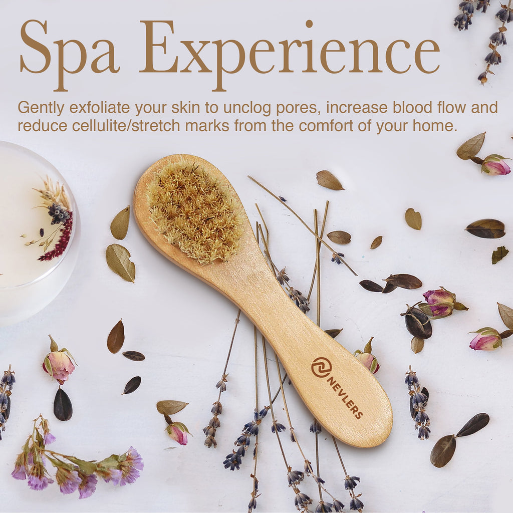 Natural Boar Dry Body Brush Set | Exfoliate, Massage, Reduce Cellulite